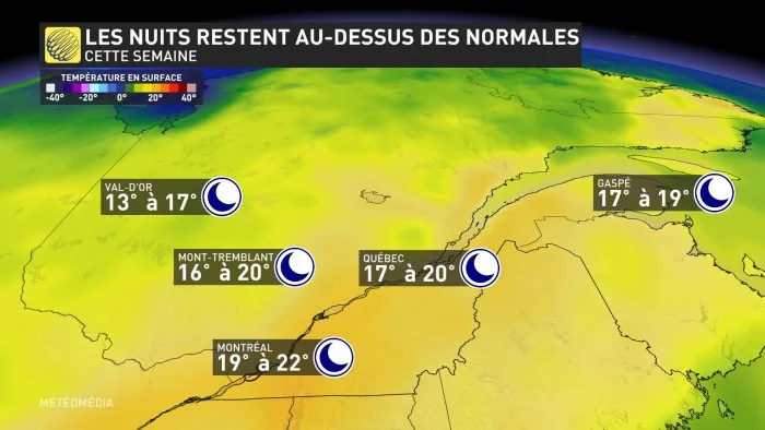 7JOURS6