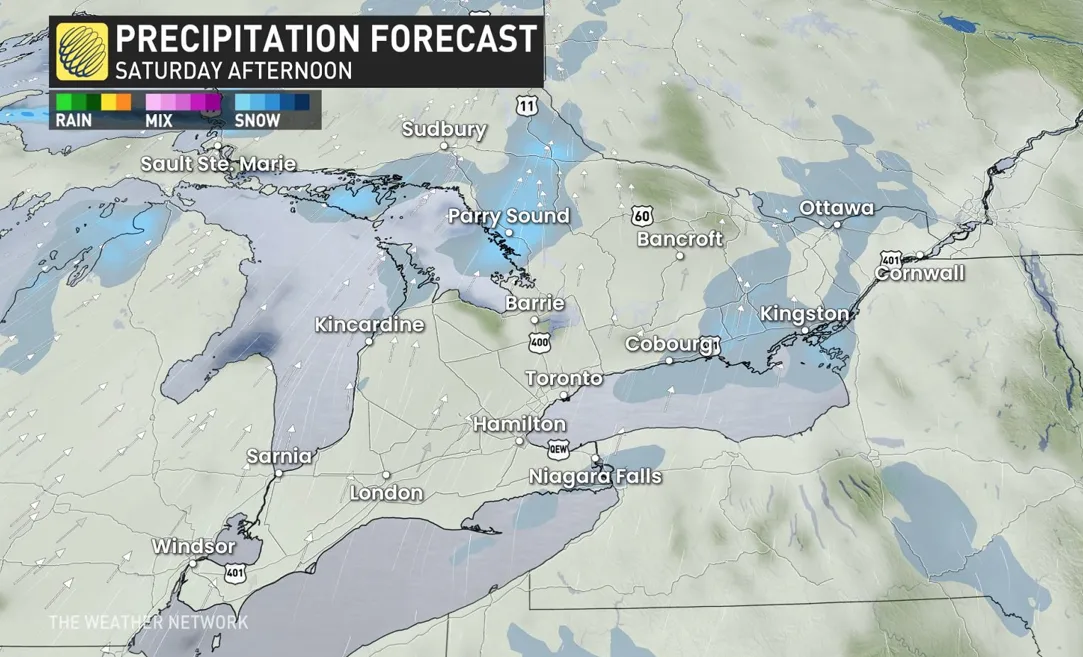 Baron - Ontario Saturday afternoon snow - Jan23