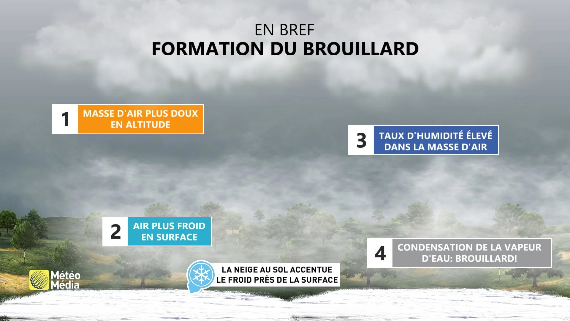 BROUILLARD 5