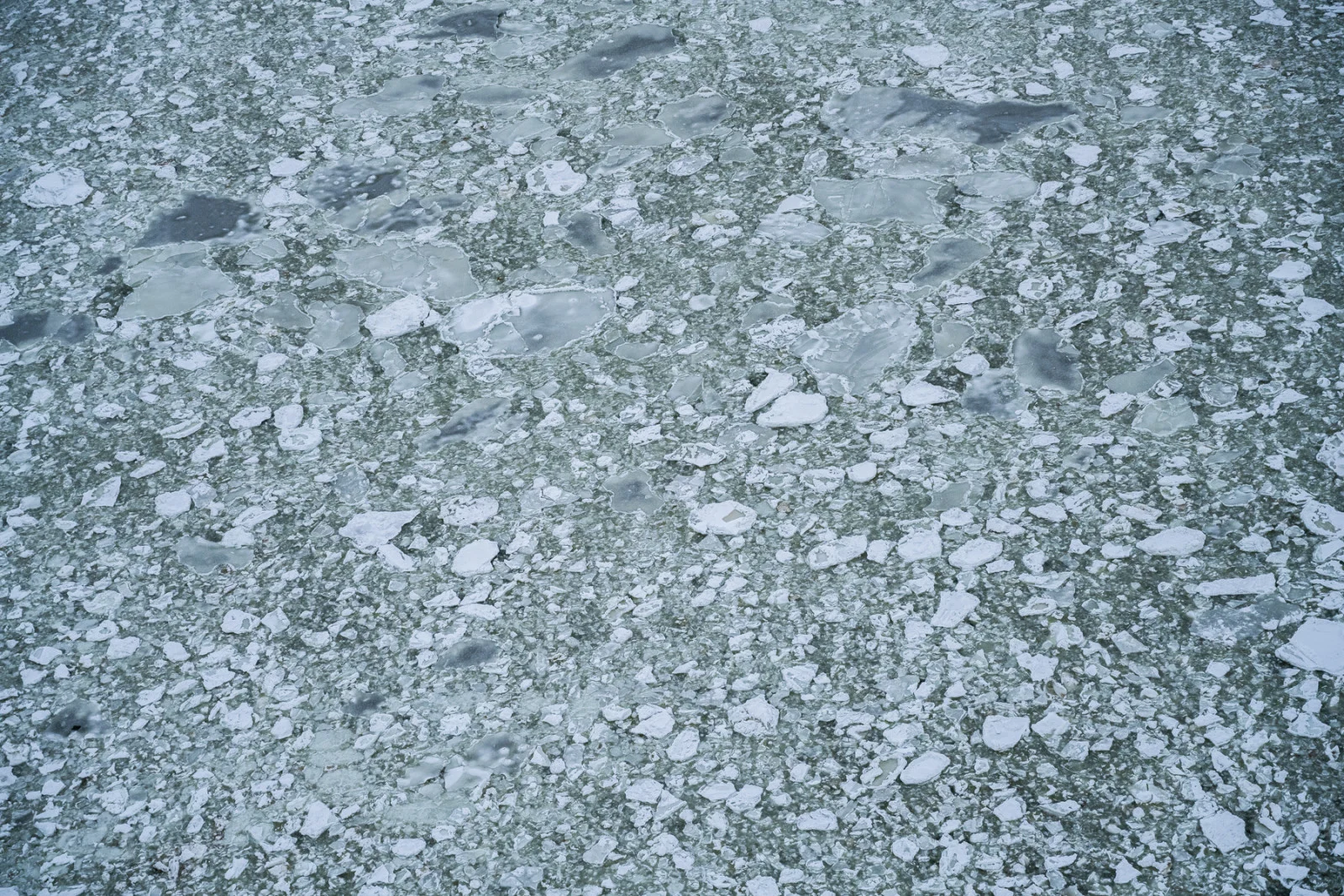Sea ice on Hudson Bay. Churchill, Manitoba. Canada. © Neil Ever Osborne