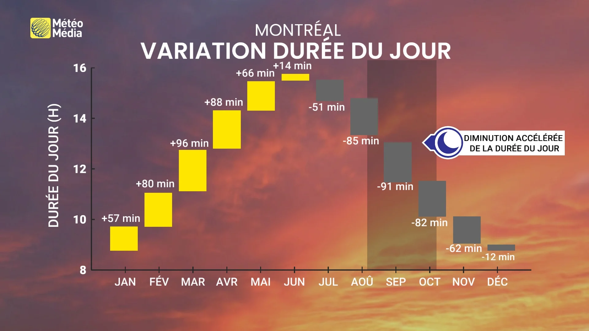 JOURNEE1