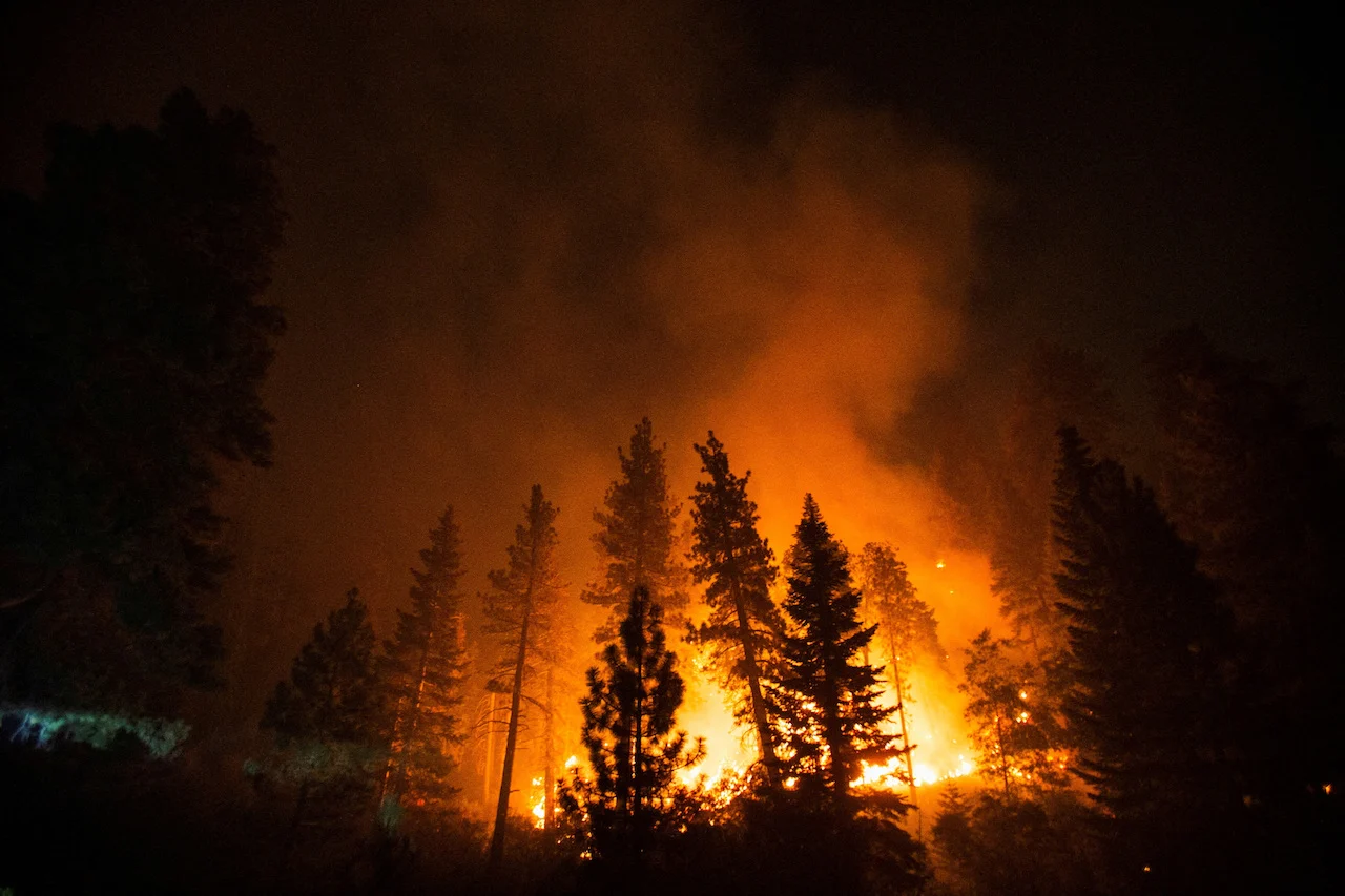 USA-CALIFORNIA-WILDFIRES/REUTERS/Ringo Chiu/File Photo