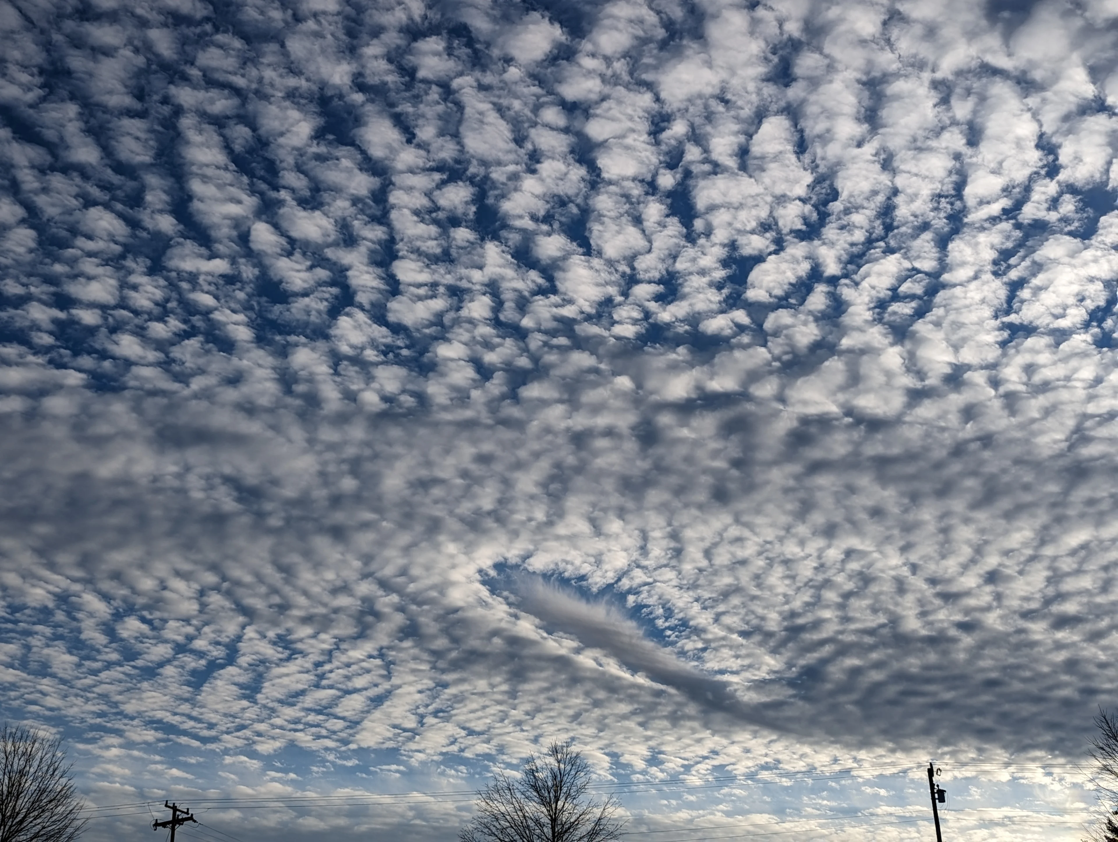 (Dennis Mersereau) Altocumulus clouds with fallstreak hole January 8 2024