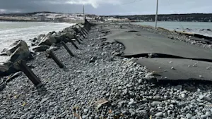 Town of Trepassey, N.L., calls a state of emergency after breakwater and roads are damaged by storm