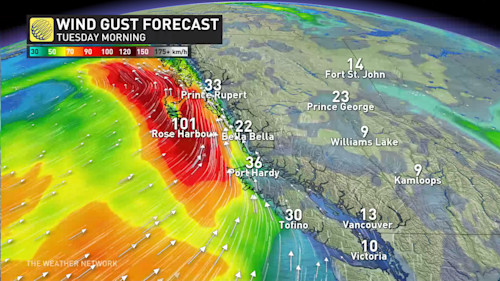 Atmospheric River, Typhoon Remnants To Douse B.C. Coast With Excessive ...