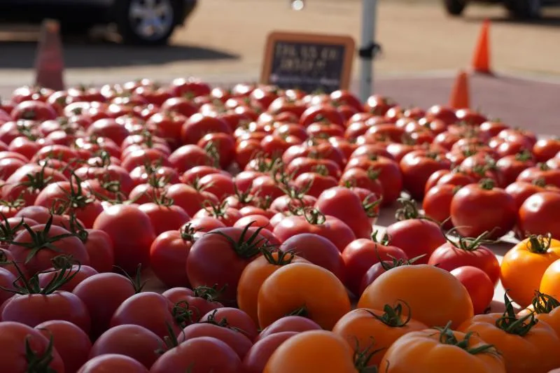 5 essentials to take to the farmers’ market with you on sunny days