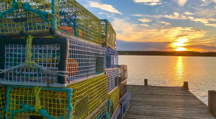 Candid Closeup: The endless colours of the Canadian sunrise