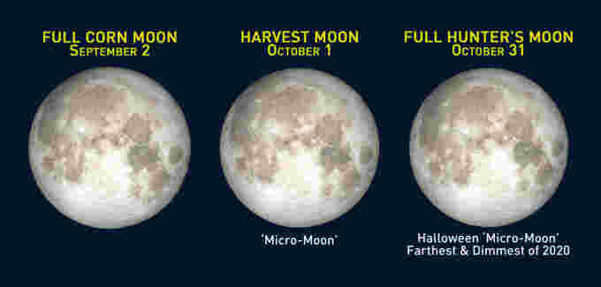 2020-Harvest-Moon