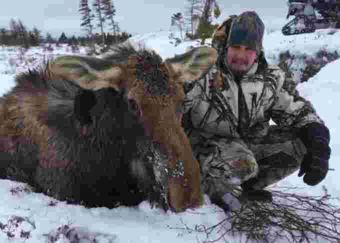 CBC matthew burry moose newfoundland