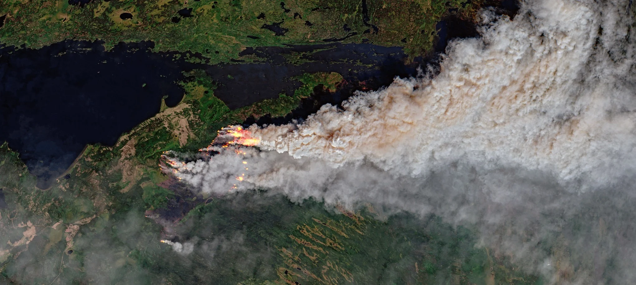 Les forêts boréales nord-américaines brûlent gros, mais moins qu’il y a 150 ans