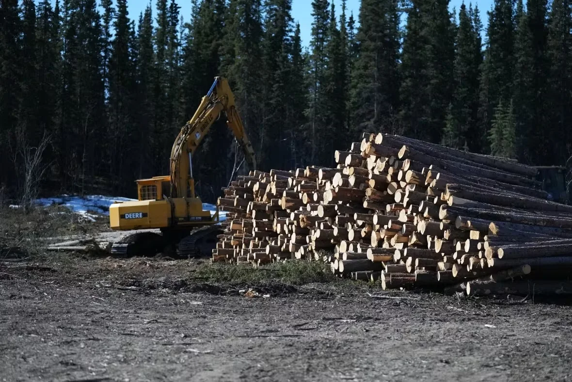 whitehorse-firebreak/Kate Kyle/CBC