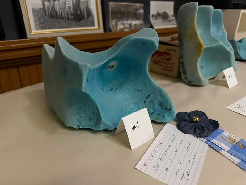 CBC Jake Jahnke took home first prize for the most artistically licked salt block. (Shawn Mullin/CBC)