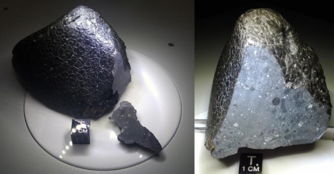 Meteorite-NWA-7034-BlackBeauty-CarlAgee