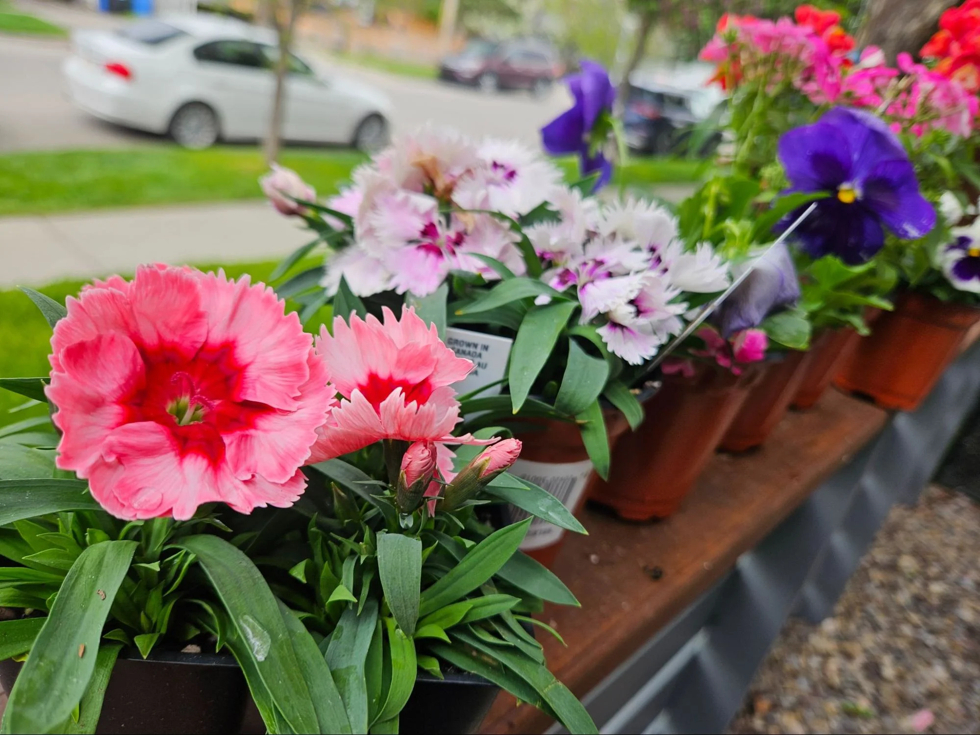 Don't have a lot of space for a garden? No problem! How you can transform a small balcony space into a large garden