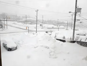 Blizzard conditions: Parts of Newfoundland to see intense winds, up to 40+ cm of snow by Tuesday