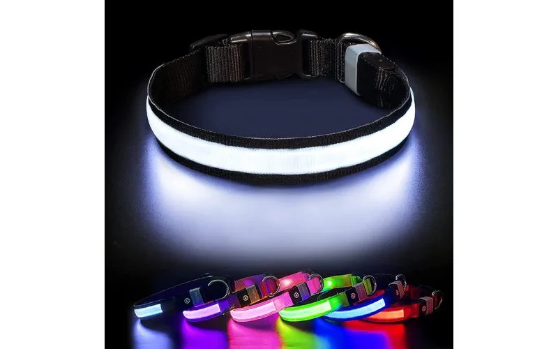 PcEoTllar LED dog collar (Amazon)
