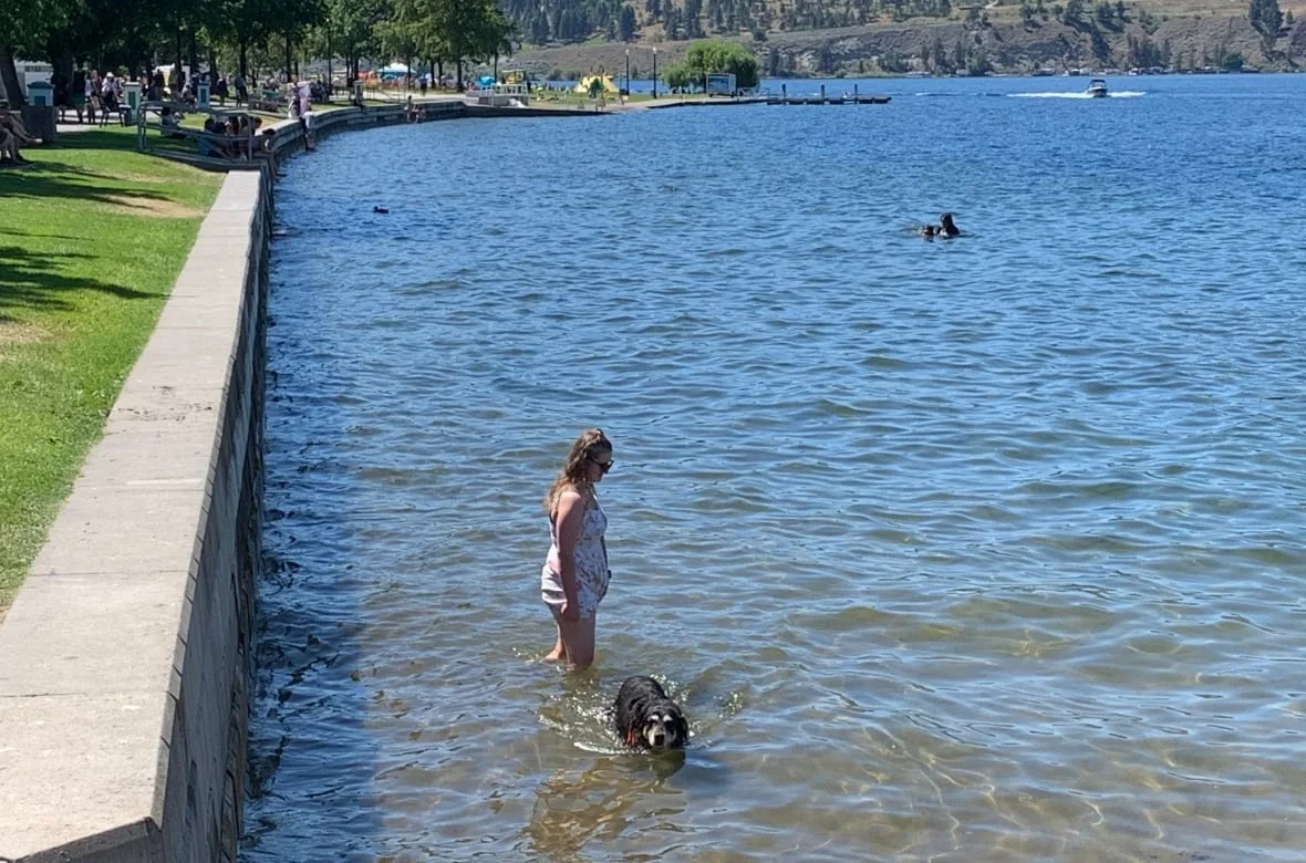 Be sure to towel off right after swimming in areas where swimmer's itch is known to be an issue, a pharmacist advises. (Winston Szeto/CBC)