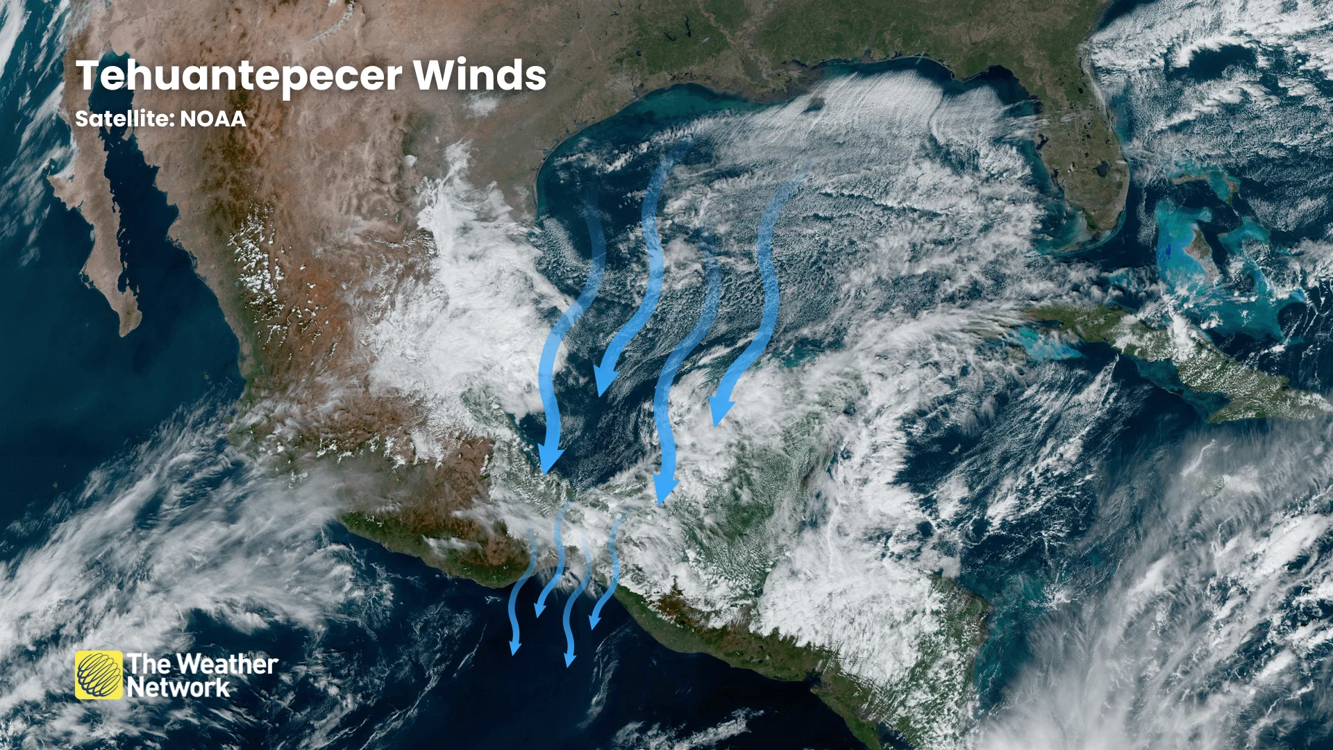 Your World Today Dec 21 2024 - Tehuantepecer