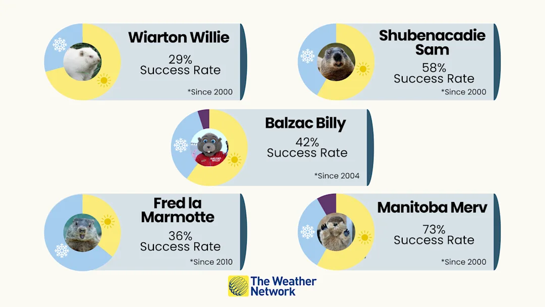 Groundhog Day Results See them here The Weather Network