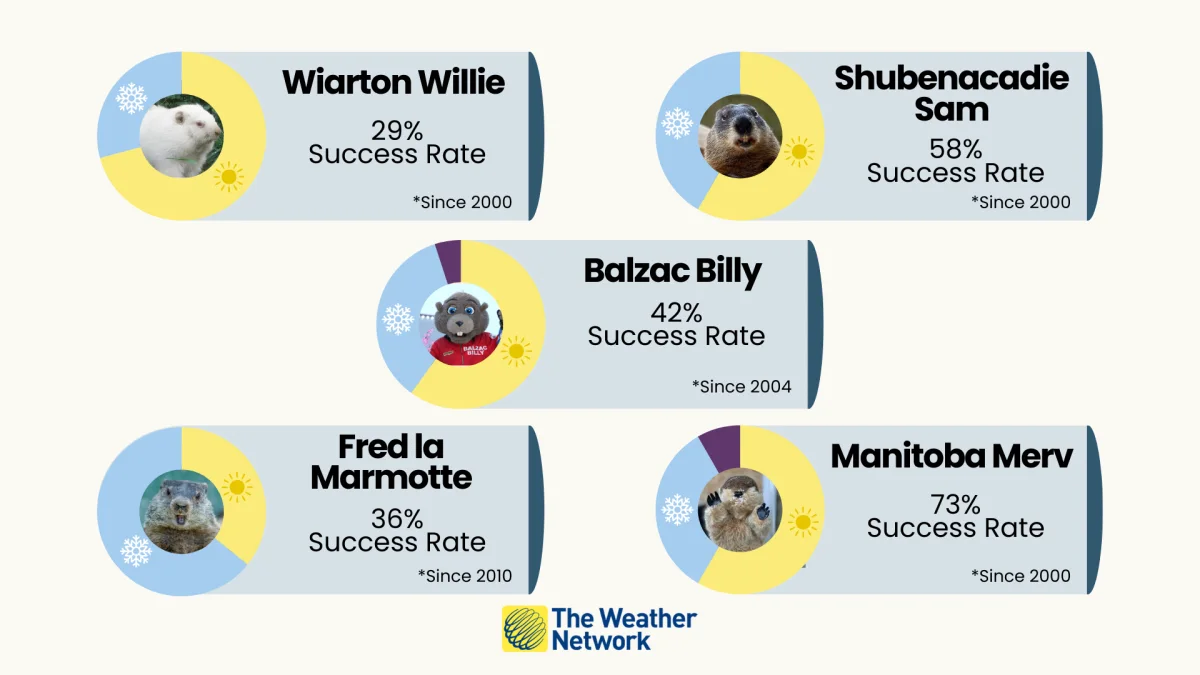 Groundhog Day Results: See them here - The Weather Network