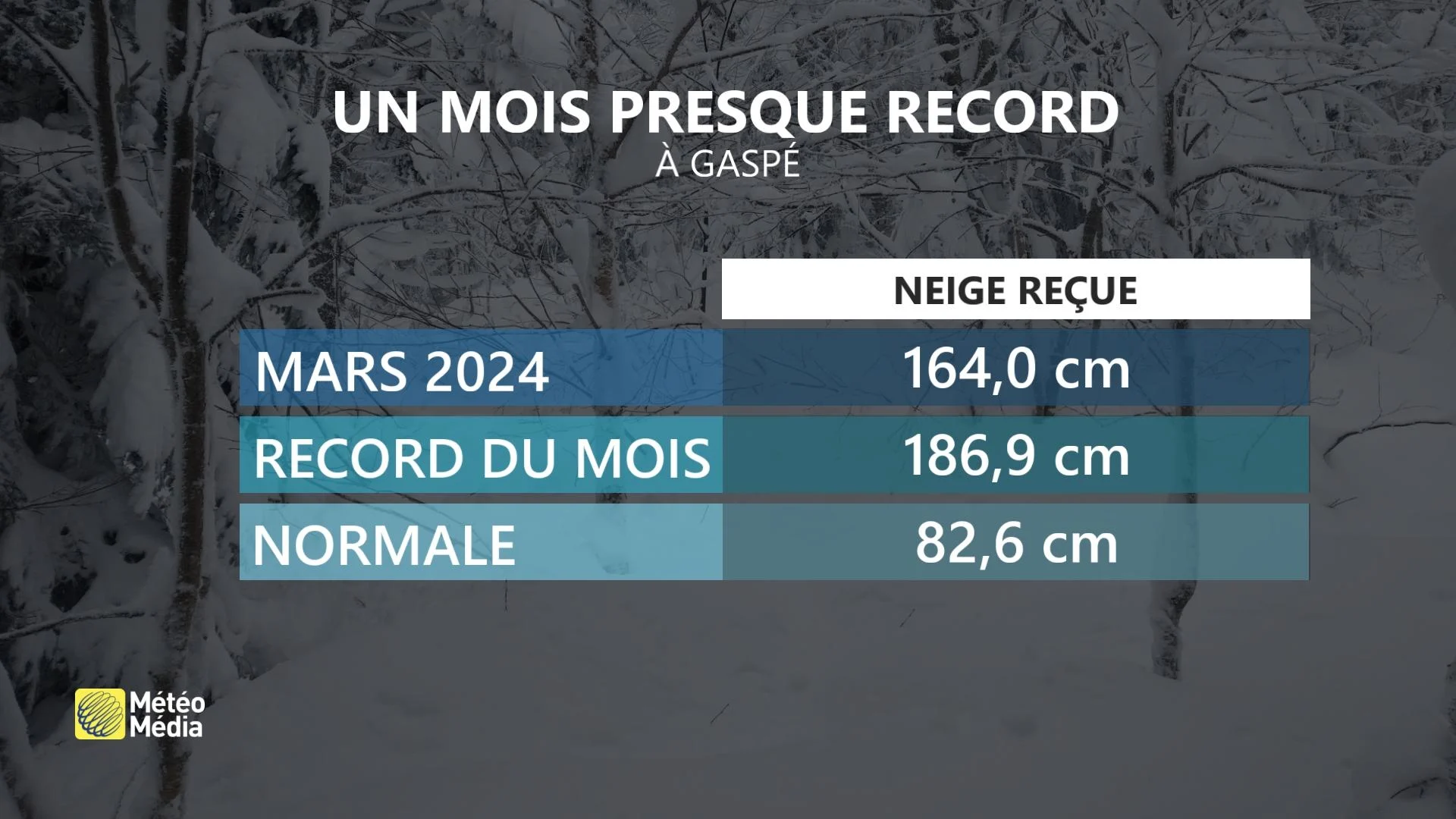 SYST4 STATS GASPÉ