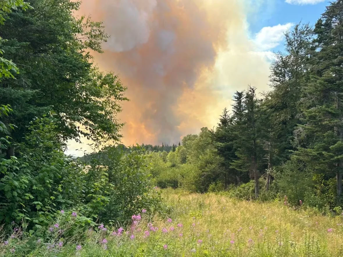 bay-d-espoir-fire/Vince MacKenzie/Facebook via CBC