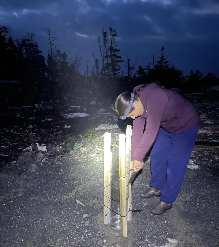 CBC: Amber LeBlanc, a Dalhousie student who helped Ryan collect samples, checks a large glass cylinder set up near Saint Michaels, N.L., during Hurricane Larry. (Submitted by Anna Ryan )