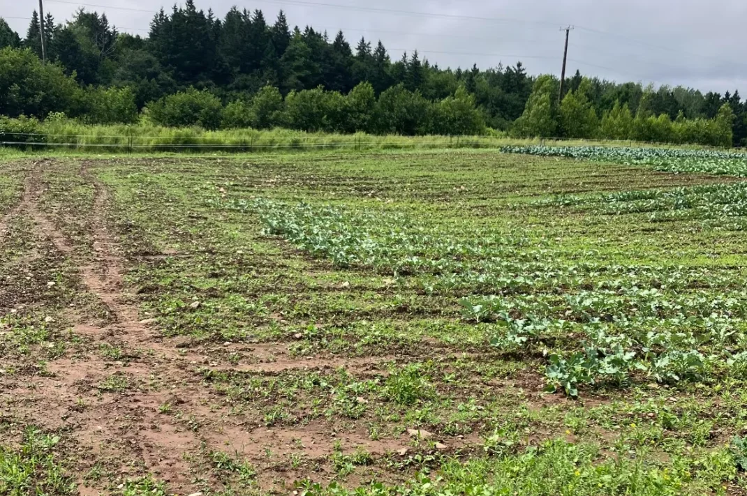 CBC: In the last four weeks, Ken Reicker says he's seen about eight inches of water and is expecting more in the coming weeks. (Courtesy of Ken Reicker)