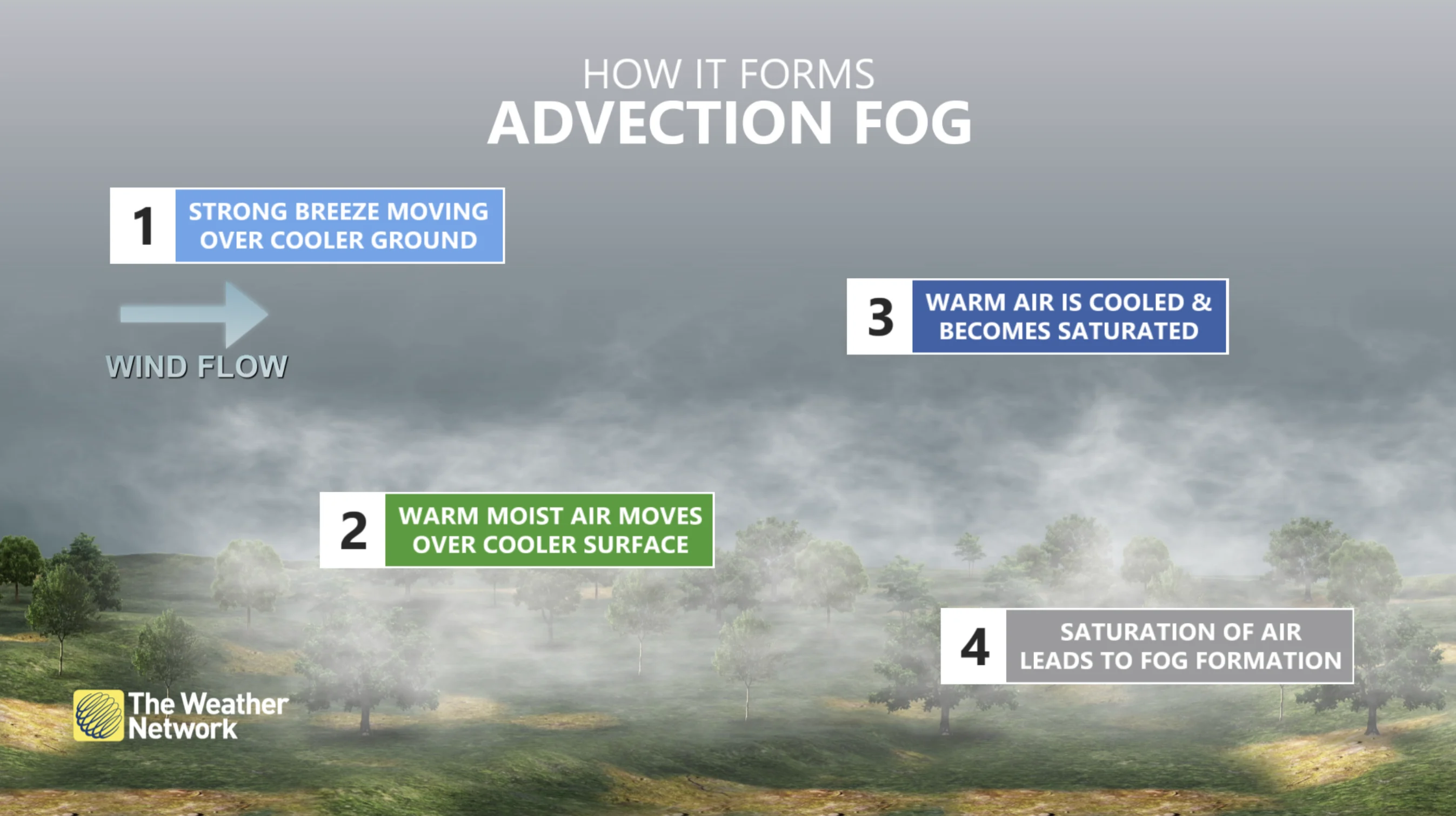 Fog Explainer: How advection fog forms 