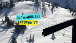 Illegal snowmobile tracks found in protected B.C. caribou habitat