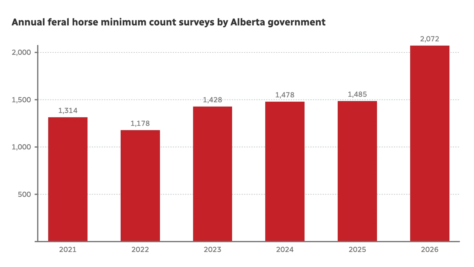 Horse, Alberta Government, Survey, May 04, 2026. (Amir Said/CBC)
