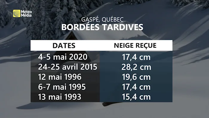 BORDEE4