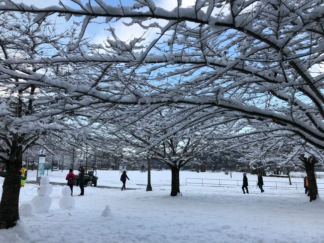 Snow warnings back for B.C. South Coast, next low slides in