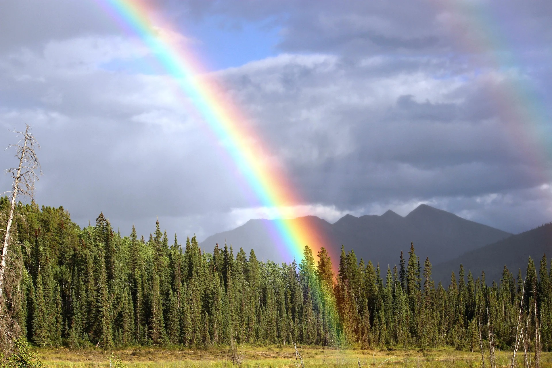 rainbow-436183 1920