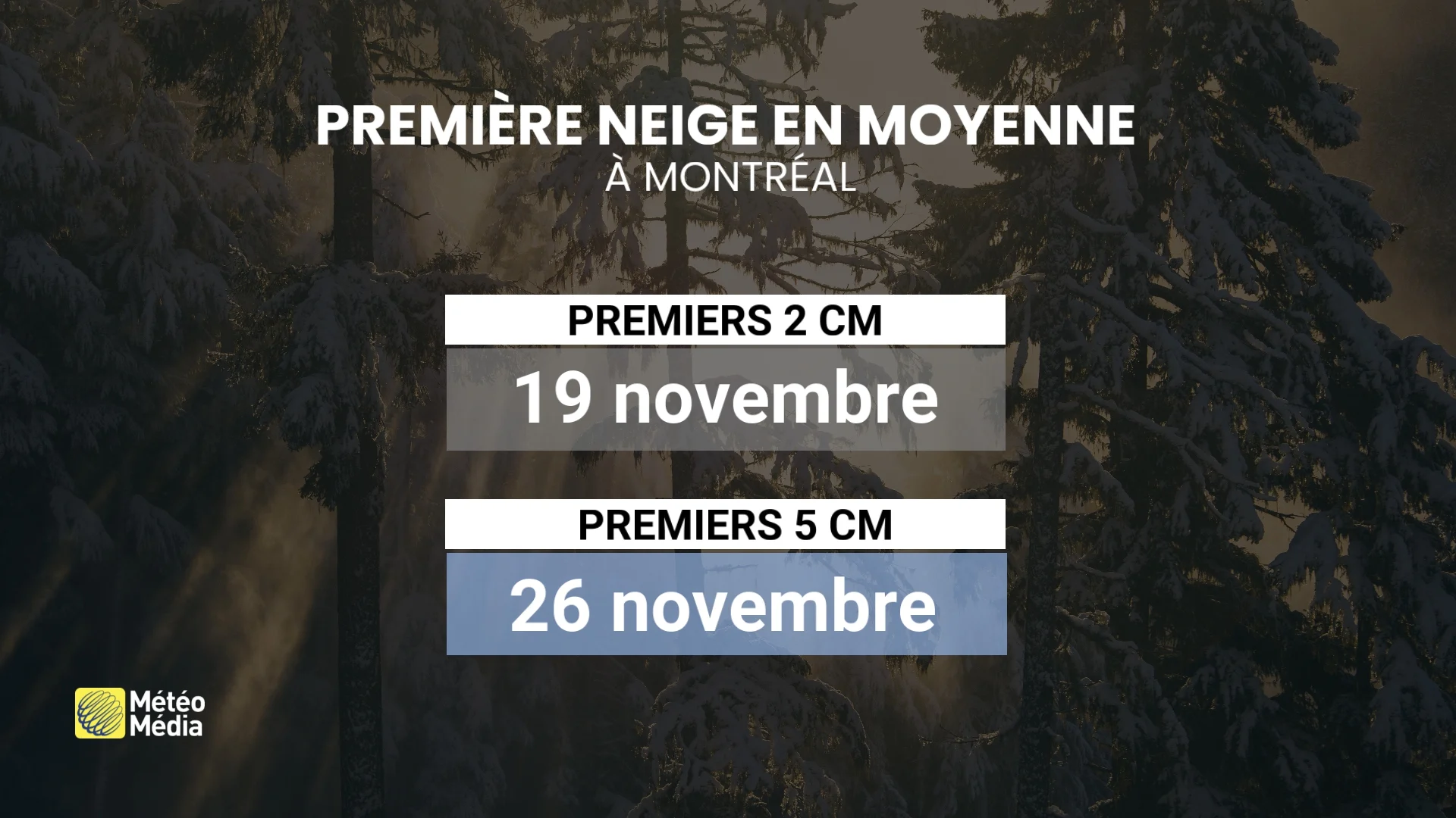 NEIGE MTL 3