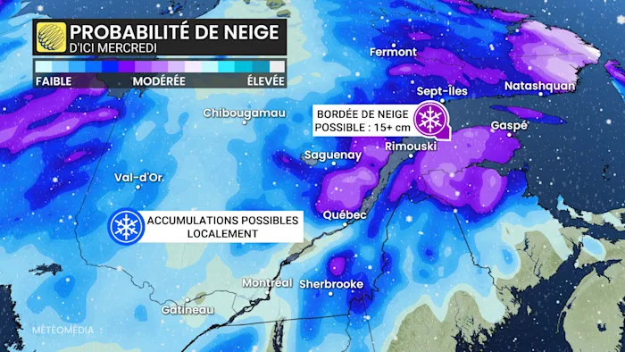 SYSTEME3 (3)