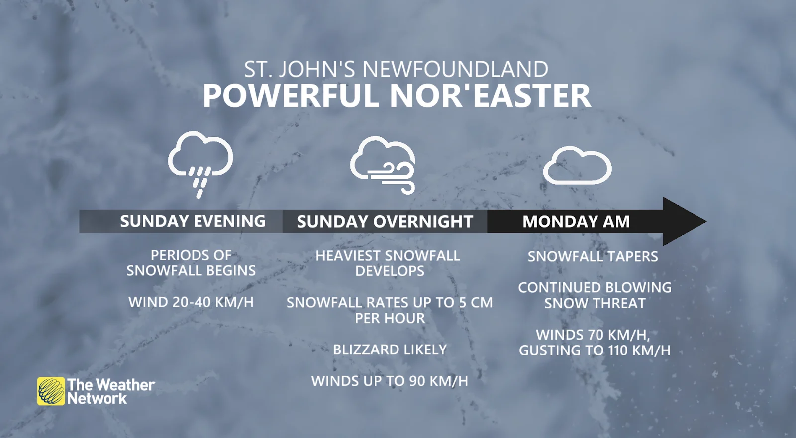 St. John's, N.L., nor'easter, winter storm timeline graphic - Feb. 8, 2025