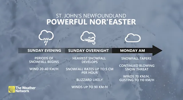 Blizzard warnings issued in Newfoundland ahead of impactful nor'easter ...