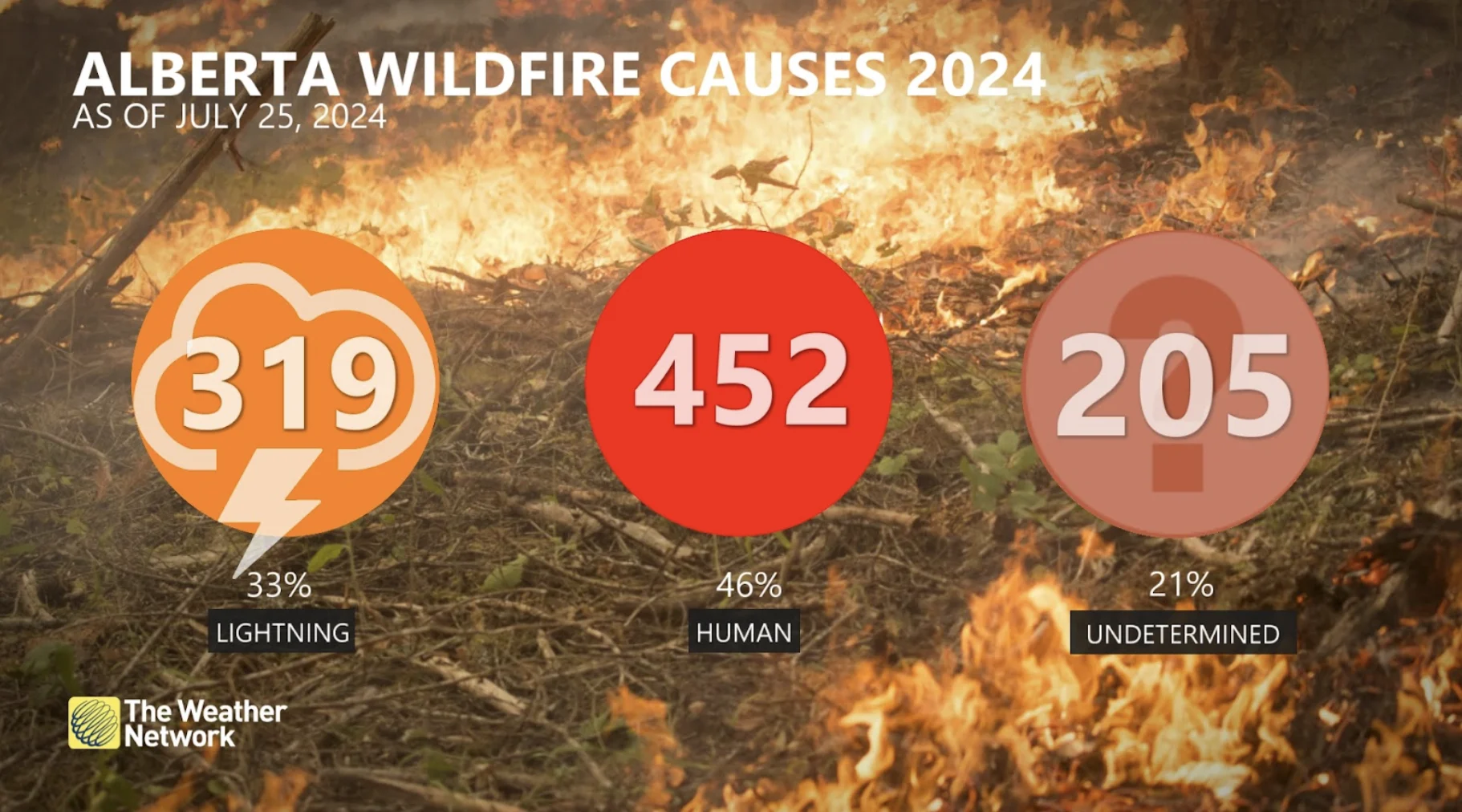 Alberta wildfire causes as of July 25, 2024