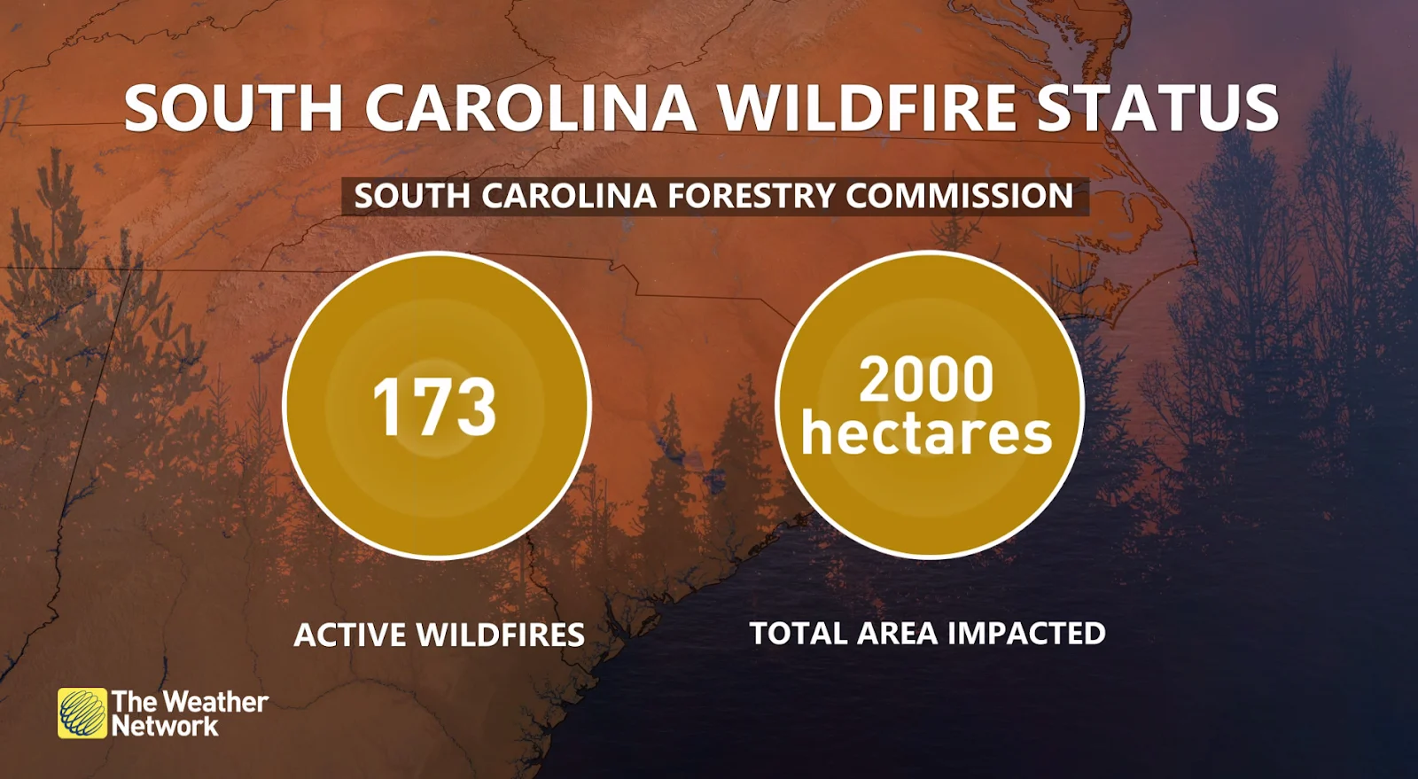 South Carolina wildfires March 2 2025