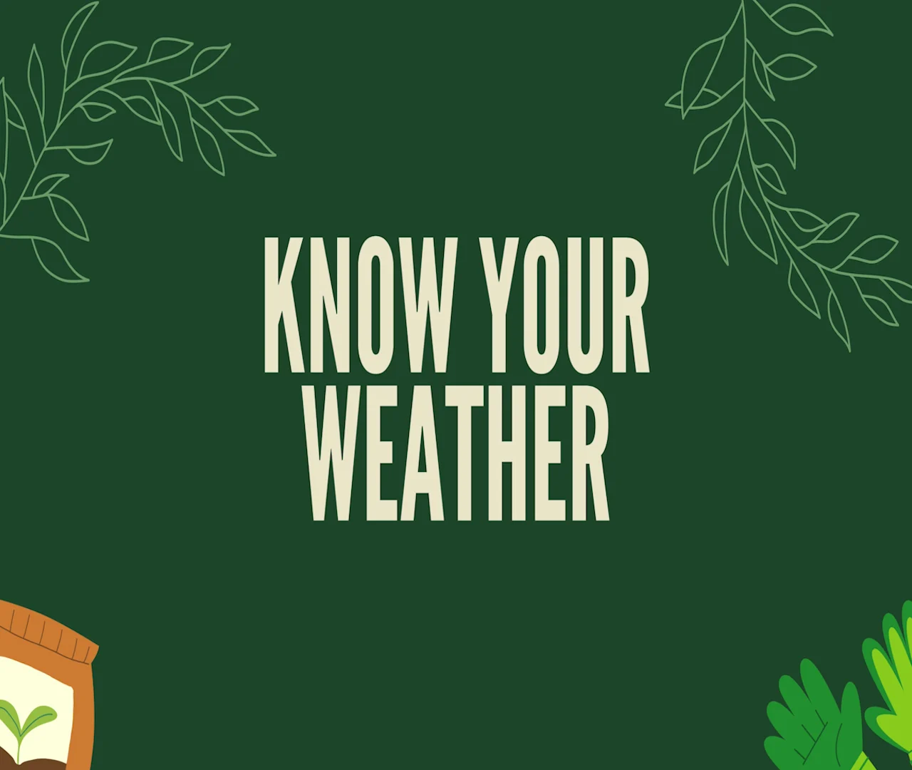 Know your weather when it comes to balcony gardens/Connor O'Donovan/TWN