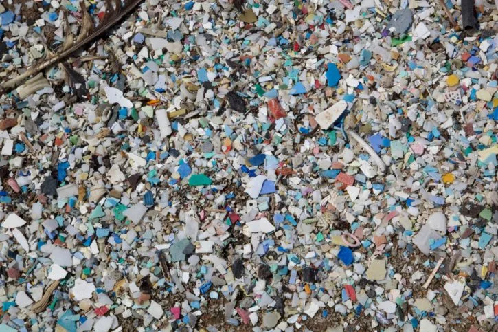 Un « continent de plastique » en voie de disparition