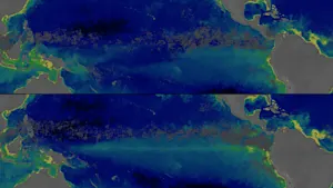 El Niño rend l'océan plus bleu et c'est une mauvaise nouvelle. Détails ici.