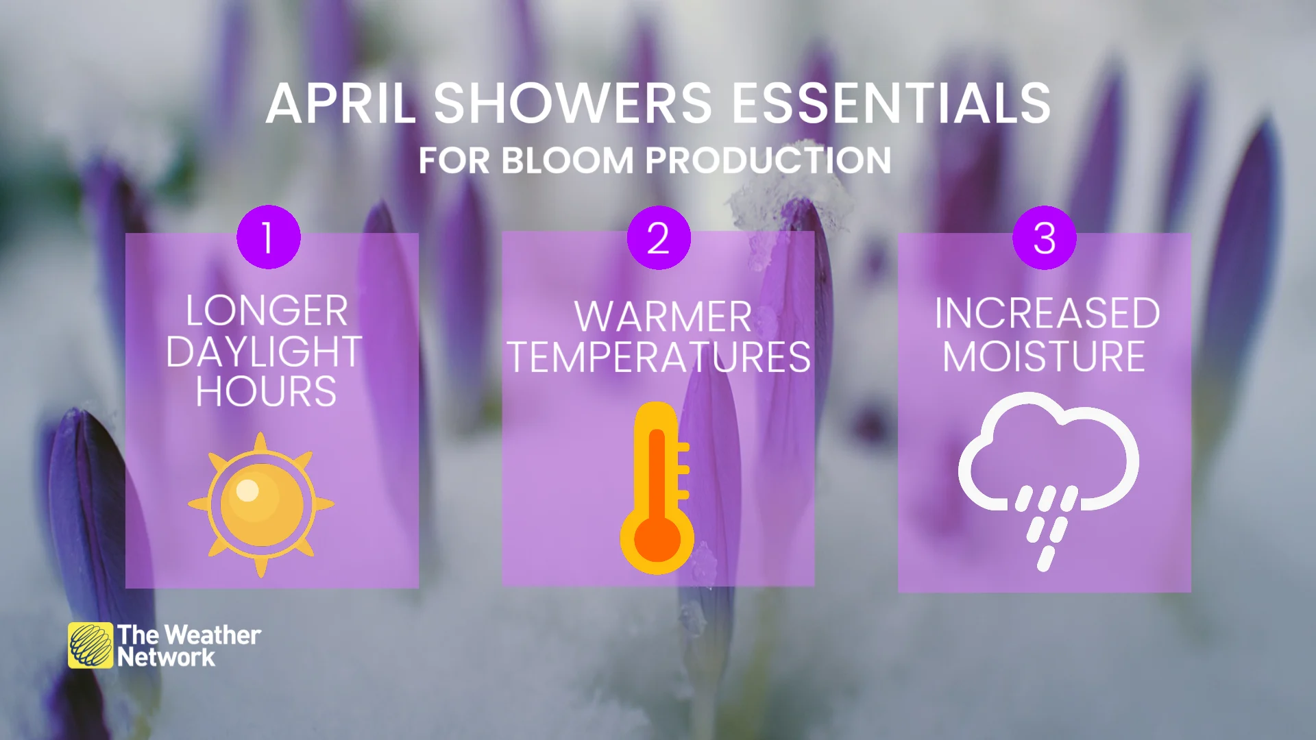 April showers essentials for bloom production