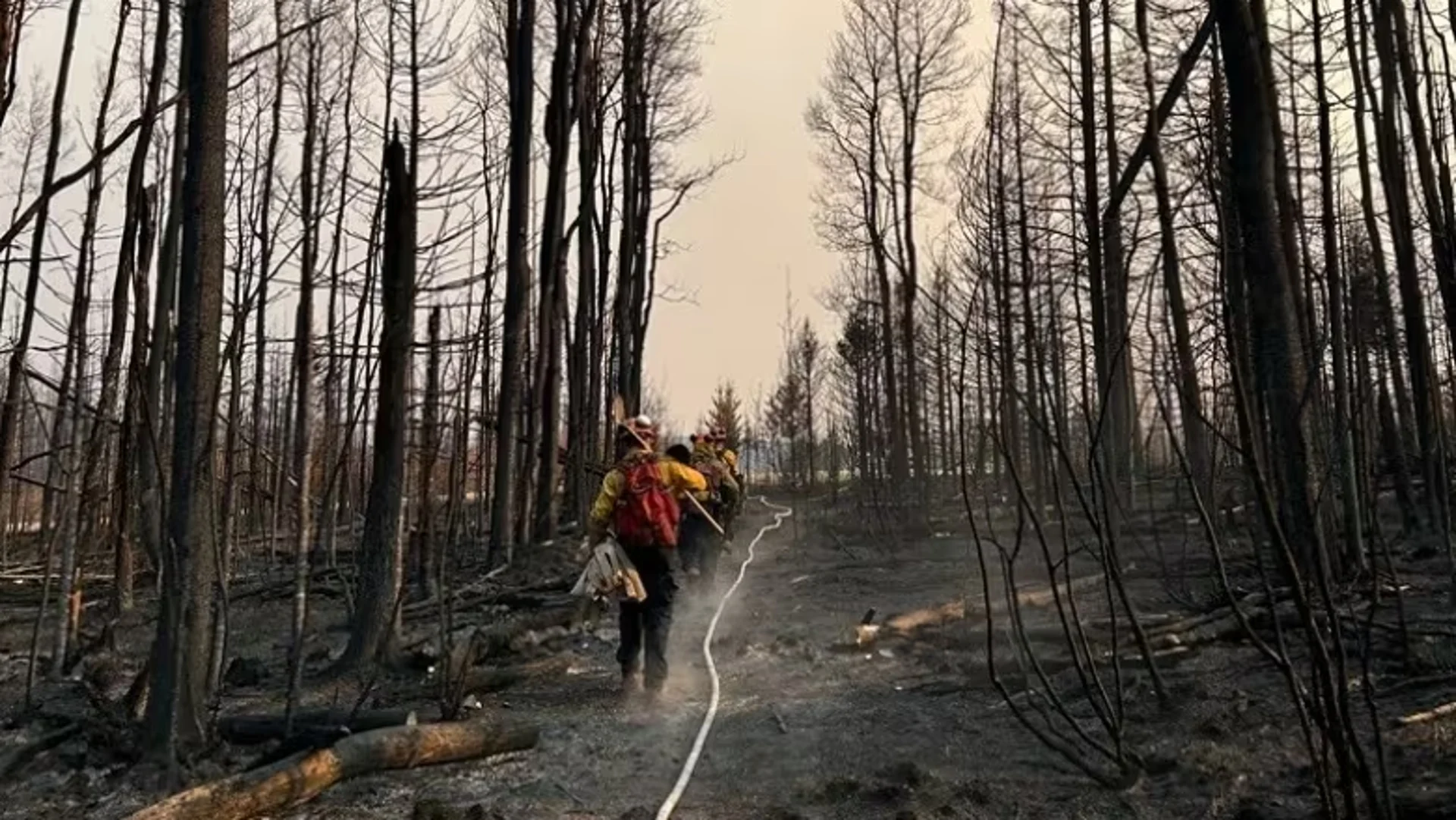 Alberta Wildfire CBC