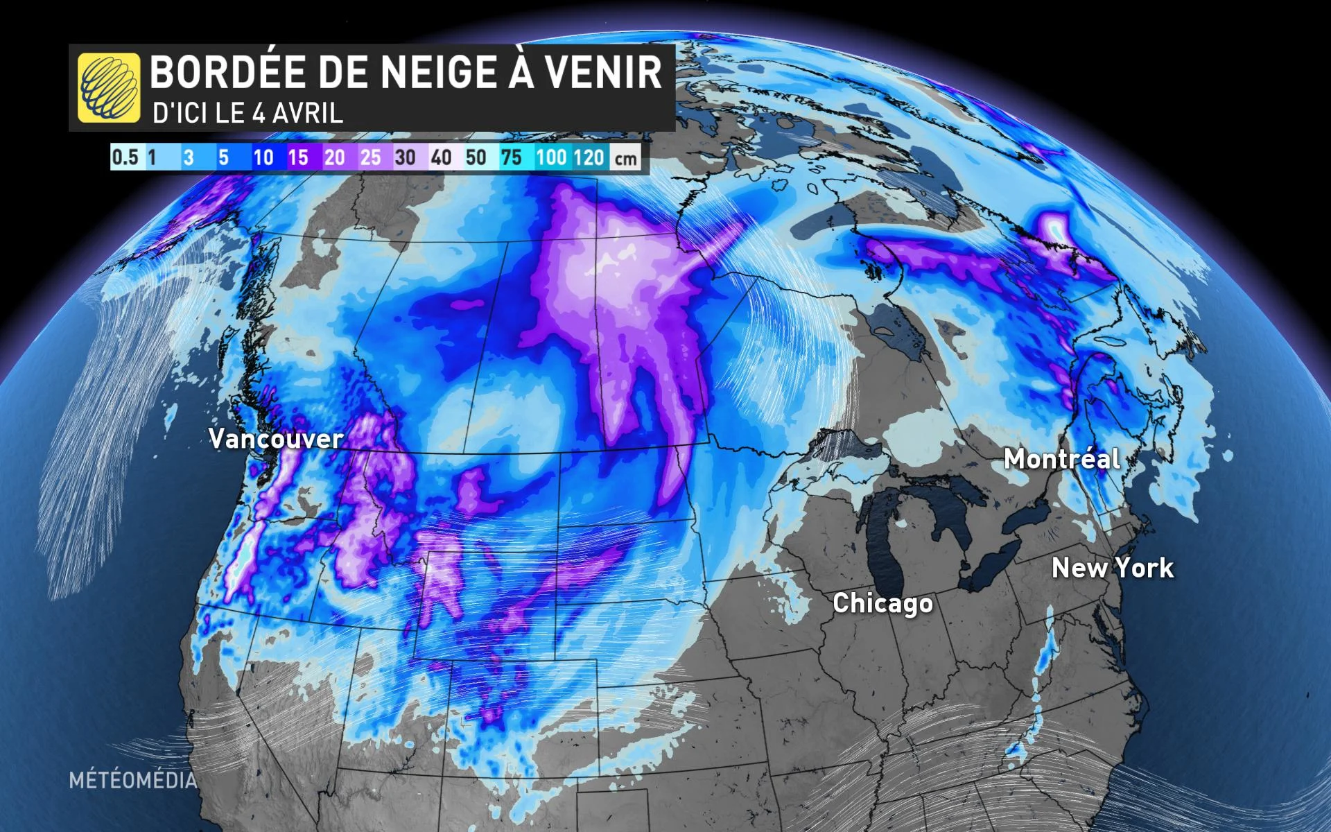 ZOE NEIGE