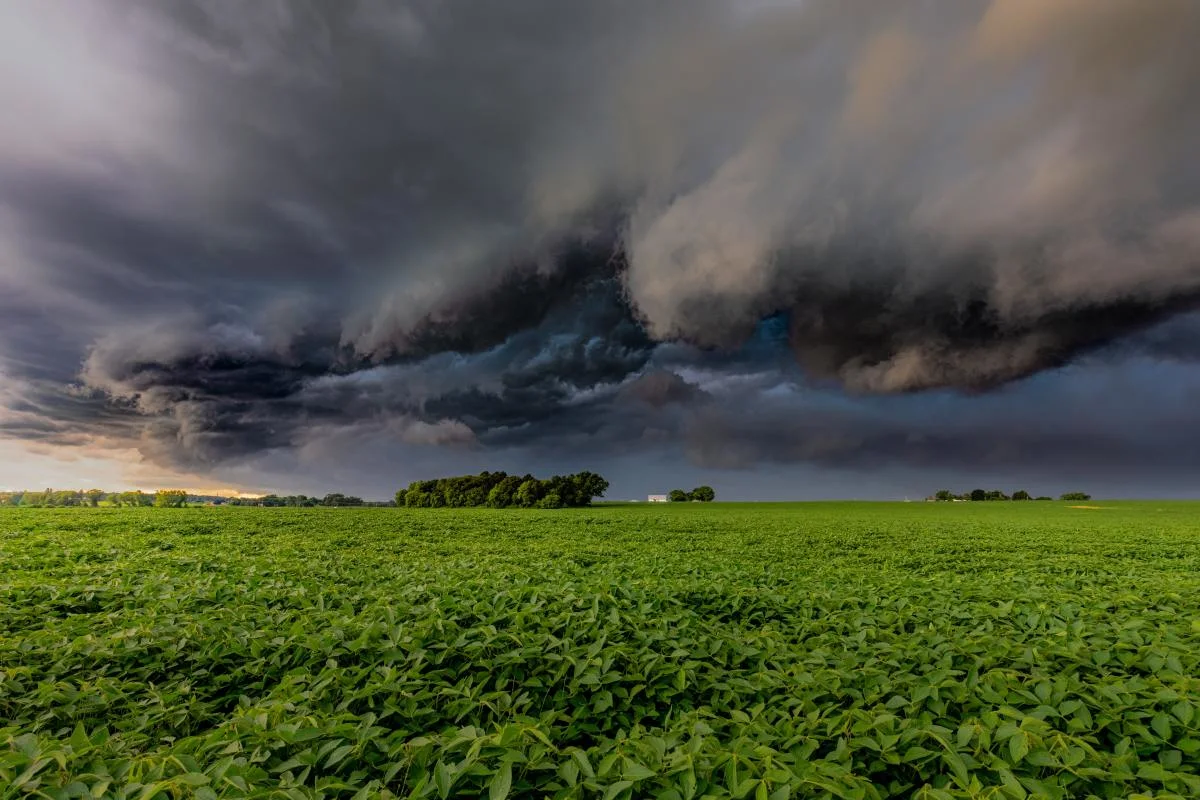 Tornado warnings issued in Manitoba as storms track across the Prairies