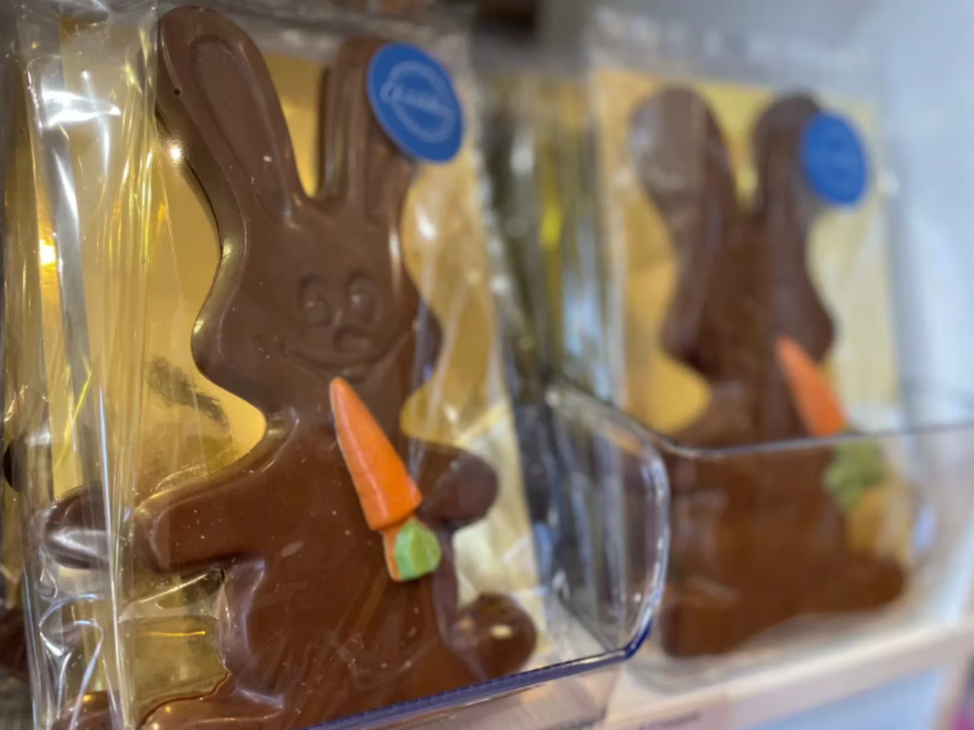 CBC - Bunny shaped chocolate - Nisha Patel