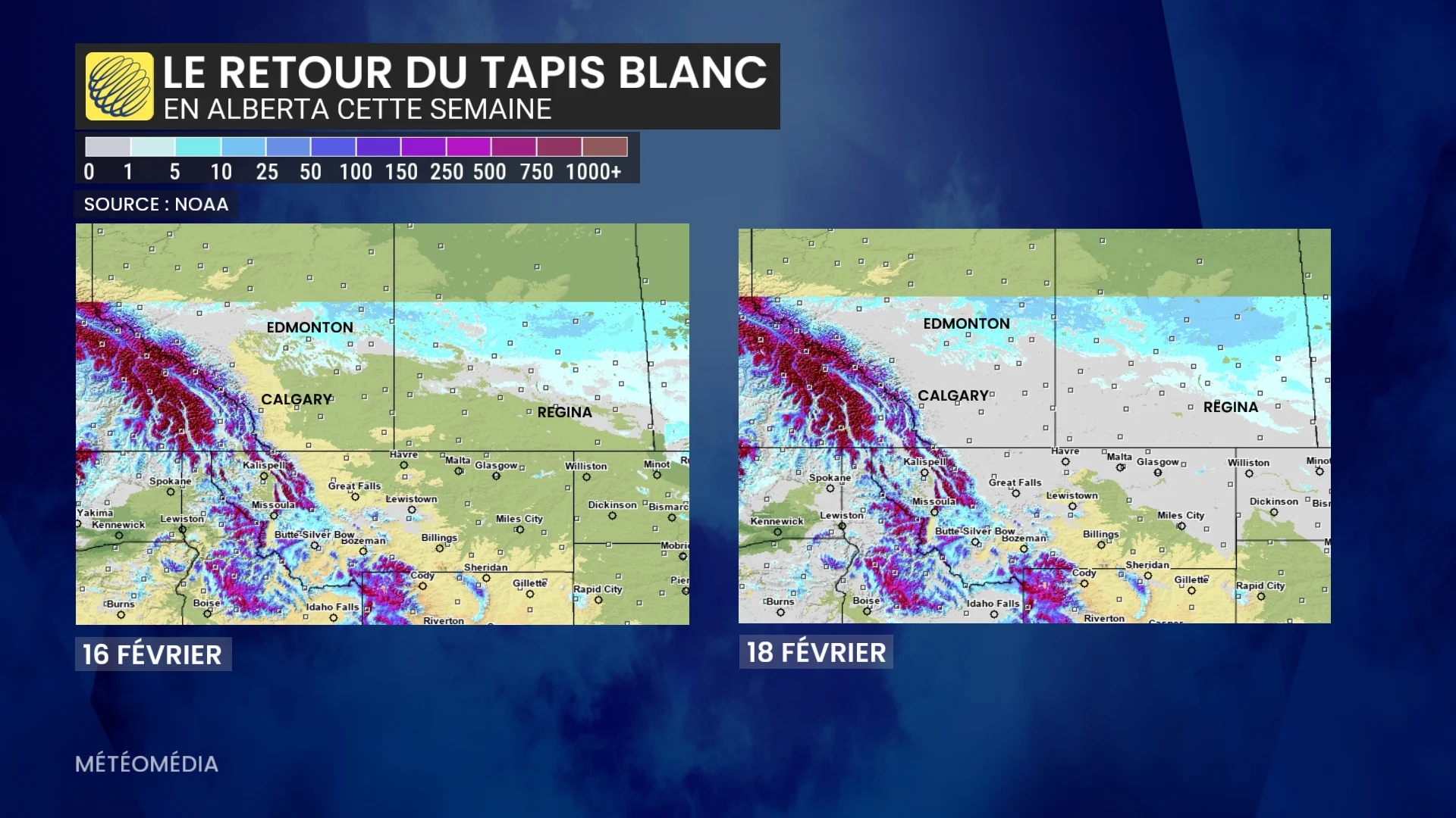 le retour du tapis blanc