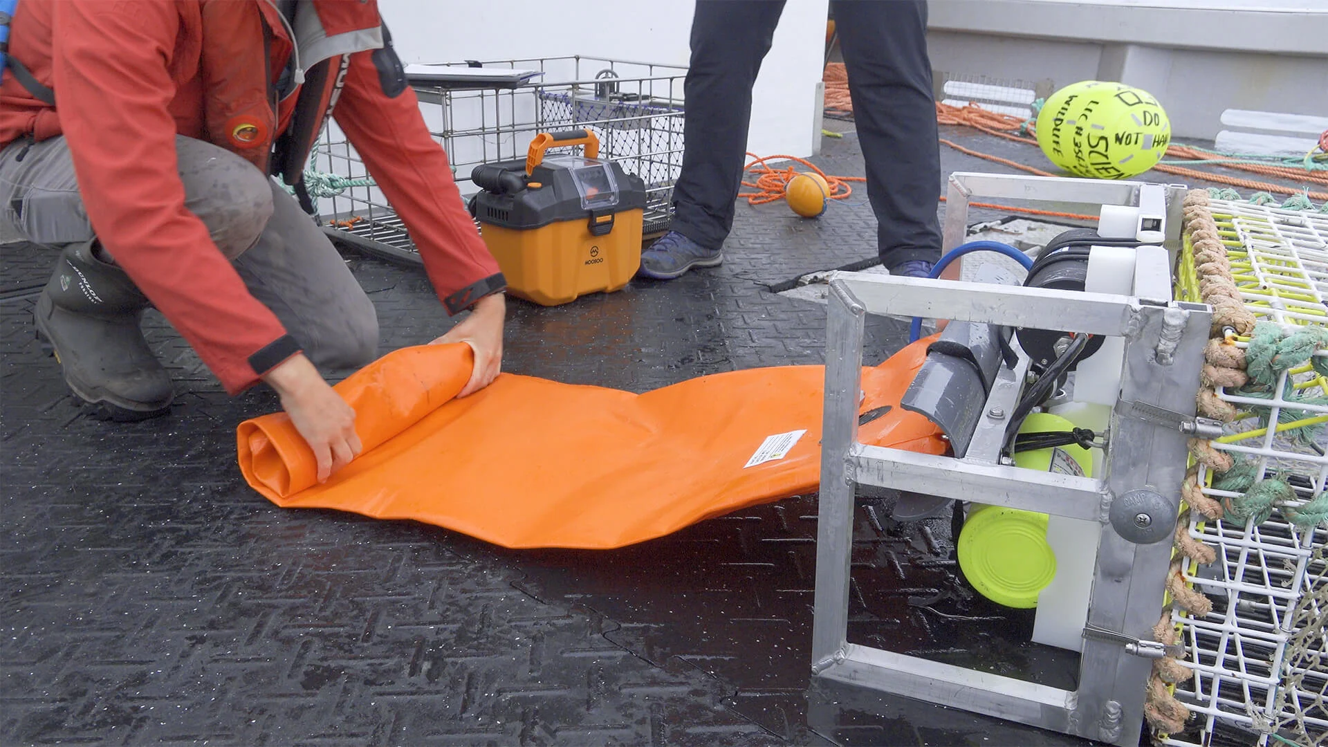 Innovative ropeless fishing gear helps prevent whale entanglements